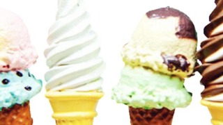 アイスの種類は4つ